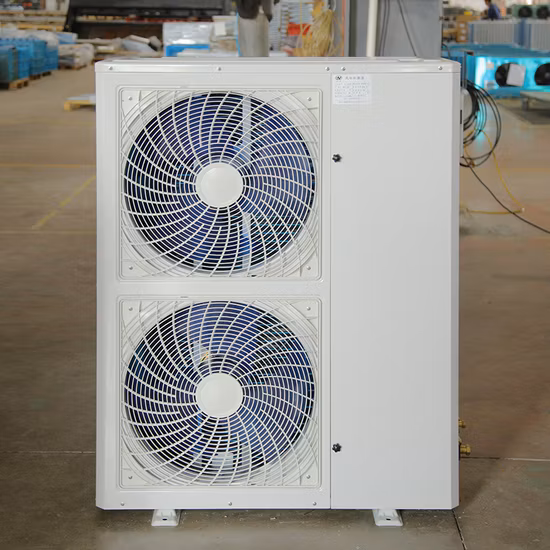 Máquina de enfriamiento Zimmermáquina de compresión en frío mini Zimmer Máquina de enfriamiento de aire portátil Máquina de enfriamiento de piel portátil Unidad de enfriamiento de aire de piel portátil